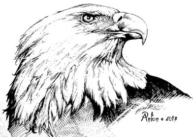 Eagle