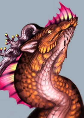 Flowerhorn dragon