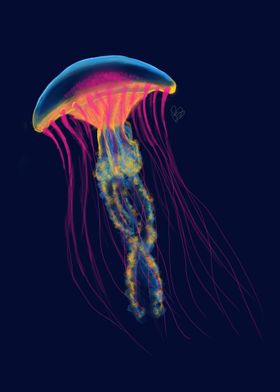 Pan Pride Jellyfish