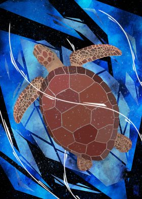 Shattered Turtle