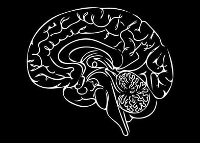 Brain Line Art Minimal