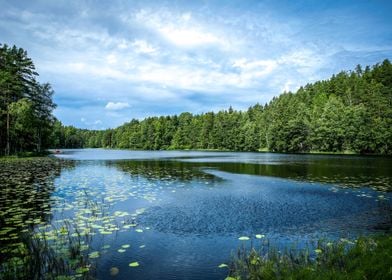 Scenic view of lake 