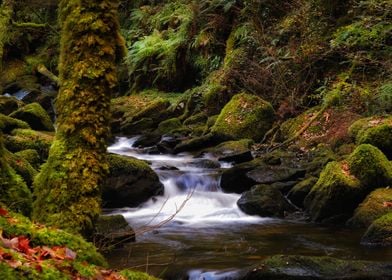 Mountain stream