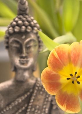 buddha and the flower