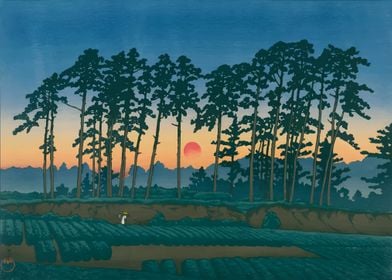 Ukiyo e Sun Ichinokura