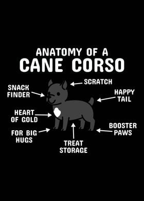 Anatomy Of A Cane Corso