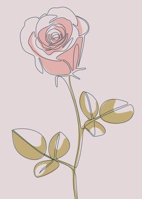 Rose floral line drawings