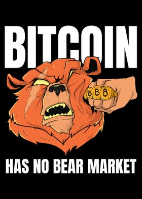 Bitcoin Has No Bear Market