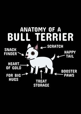 Anatomy Of A Bull Terrier