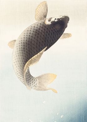 A jumping carp 1900