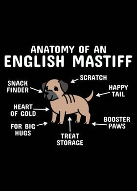 Anatomy Of A Mastiff