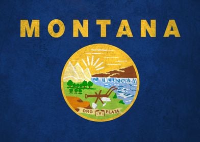 Flag of Montana on Wall