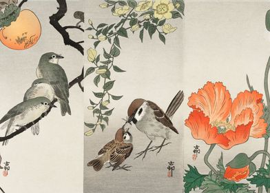 Birds and plants 1900