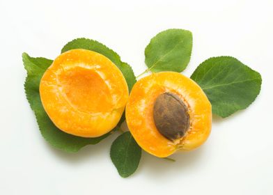 Apricot on white