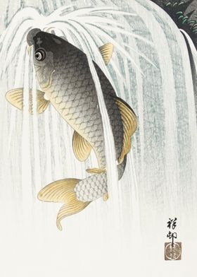 Carp 1935 by Ohara Koson