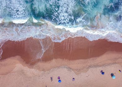 beach bumology