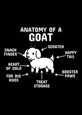 Anatomy Of A Goat