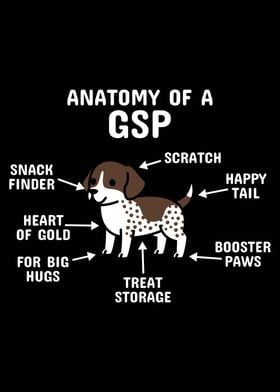 Anatomy Of A Pointer 