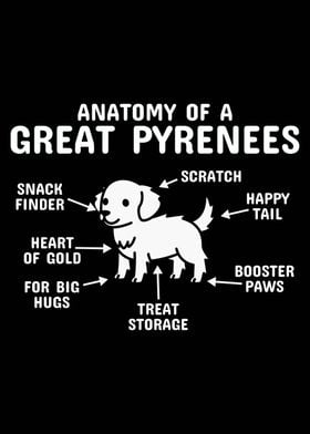 Anatomy Of A Great Pyrenee