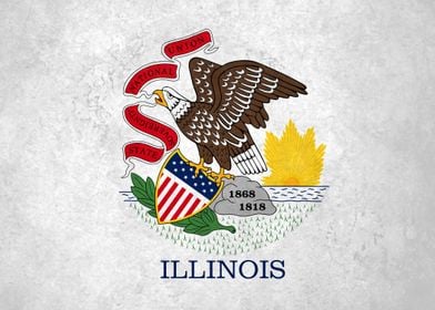 Flag of Illinois on Wall