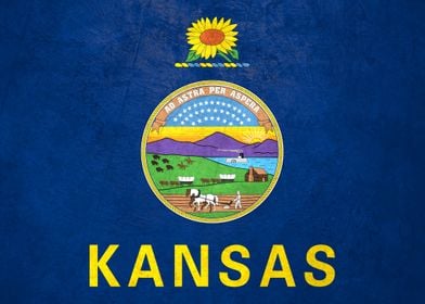 Flag of Kansas on Wall