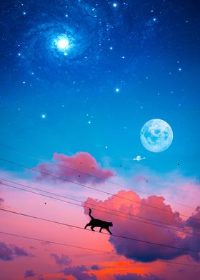Cat Silhouette in the sky