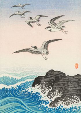 Five seagulls above sea