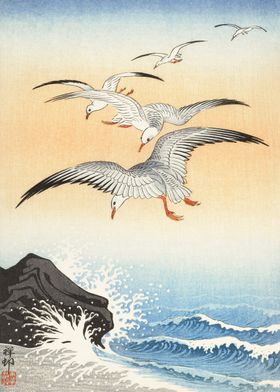 Five seagulls above sea