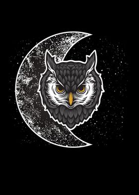 Owl Moon Bird Owls