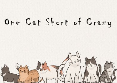 One Cat Short of Crazy