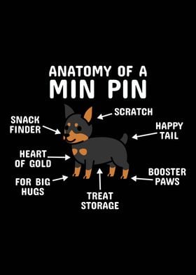 Miniature Pinscher Anatomy