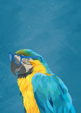 Blue Macaw with glasses