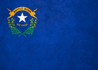 Flag of Nevada on Wall