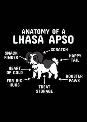 Anatomy Of A Lhasa Apso