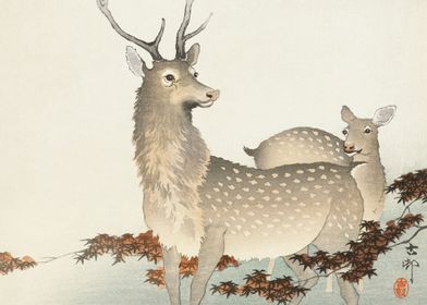 Couple of deers 1900