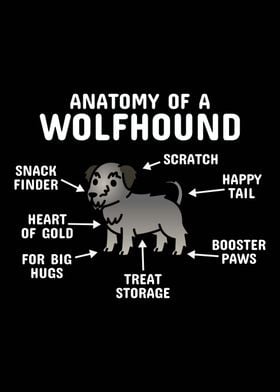 Irish Wolfhound Anatomy