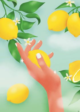 Lemon 