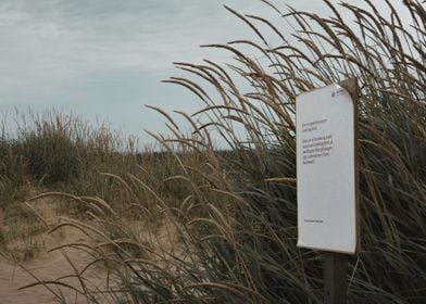 Denmark Dunes with Sign