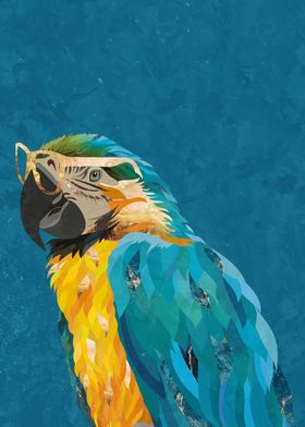 Gold Blue Macaw Bird