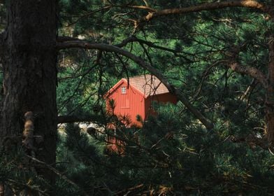 Red Norwegian House