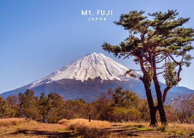 Mount Fuji  