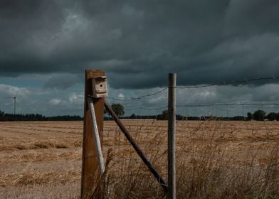 Birdhouse before the storm