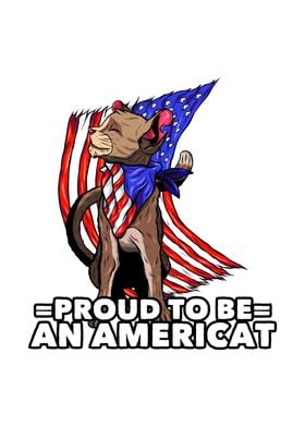 proud to be an americat