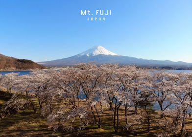 Mount Fuji  