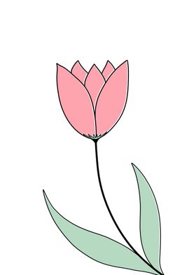 Tulip