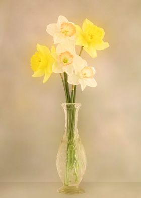 Daffodils in a vase