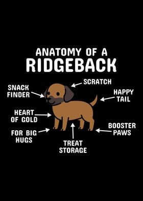 Anatomy Of A Rhodesian