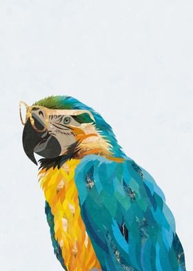Golden Macaw Glasses