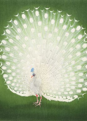 Peacock 1925 Ohara Koson