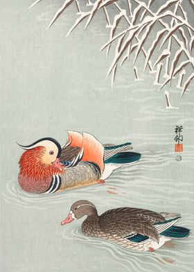 Mandarin ducks 1925 